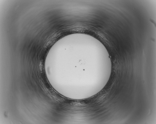 X0000102790597200808180955