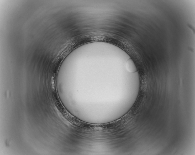 X0000102790598200808180955