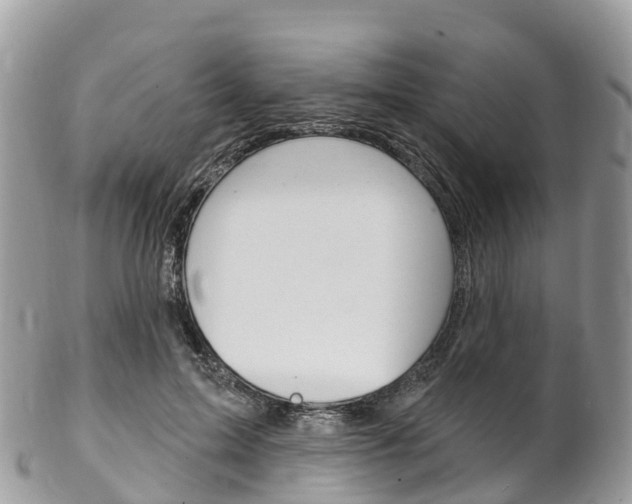 X0000102790599200808180955