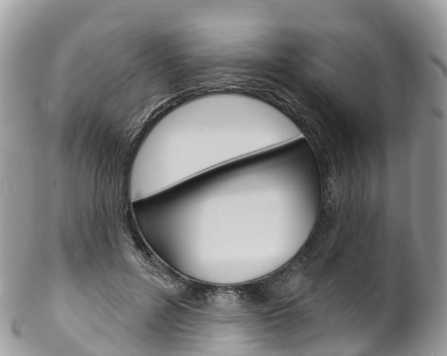 X0000102790600200808180955