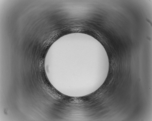 X0000102790601200808180955