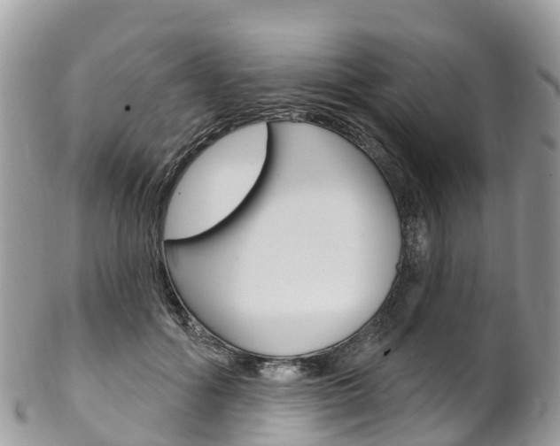X0000102790602200808180955