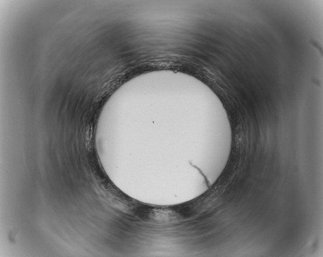 X0000102790605200808180955