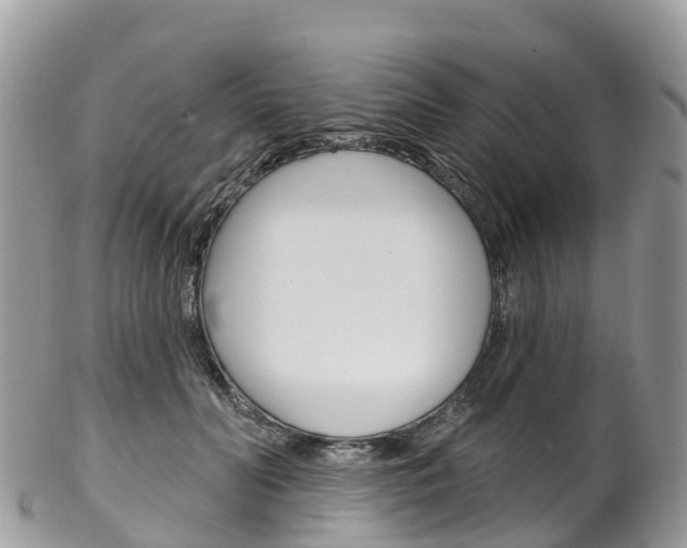 X0000102790606200808180955