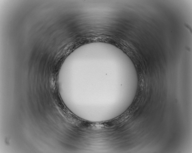 X0000102790607200808180955