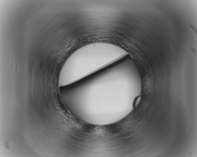 X0000102790608200808180955