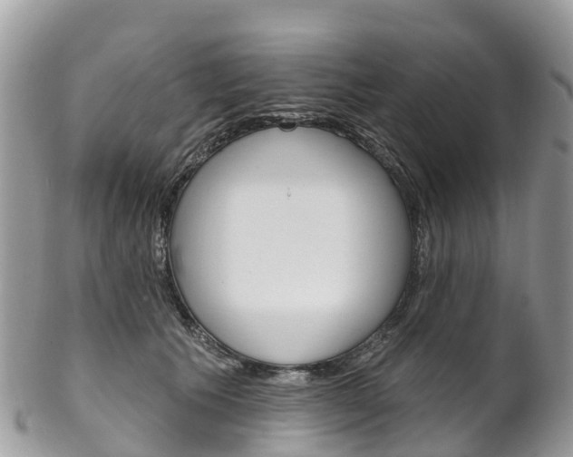 X0000102790609200808180955
