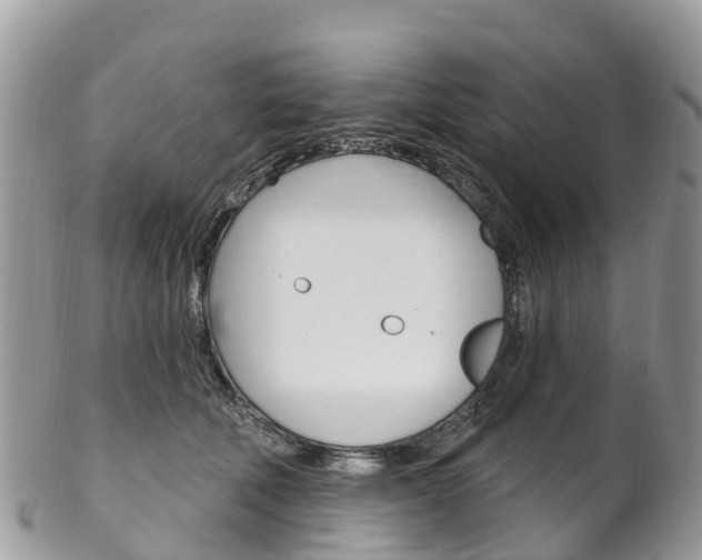 X0000102790610200808180955