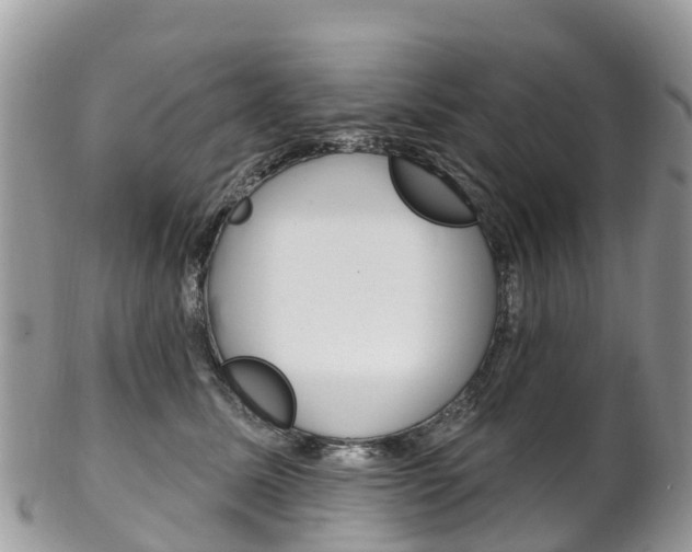 X0000102790611200808180955