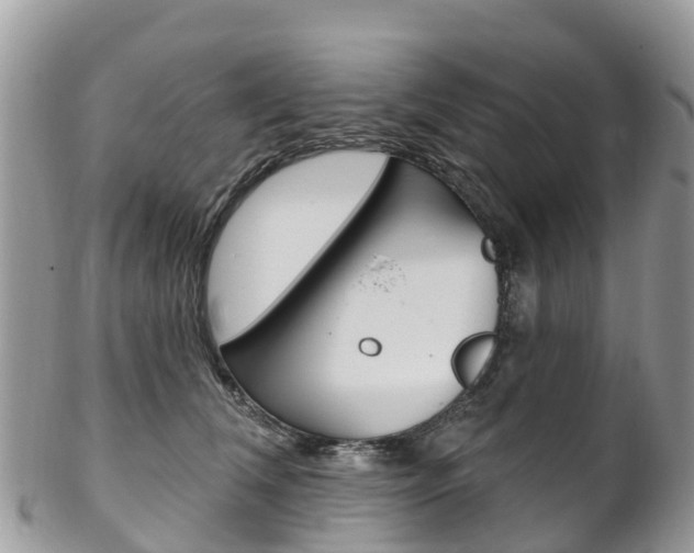X0000102790612200808180955