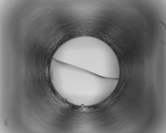 X0000102790613200808180955
