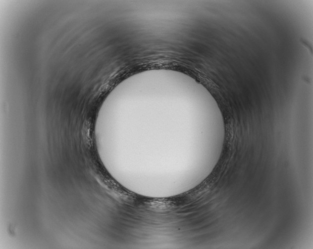 X0000102790615200808180955