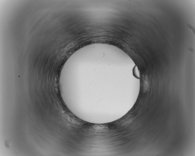 X0000102790619200808180955
