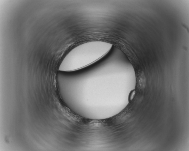 X0000102790620200808180955