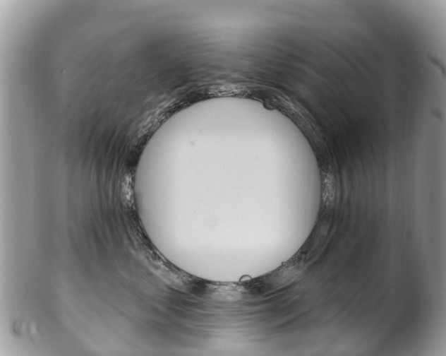 X0000102790621200808180955