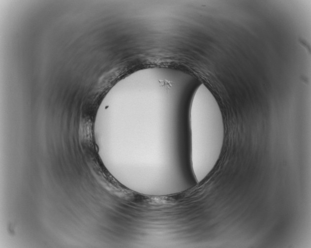 X0000102790623200808180955