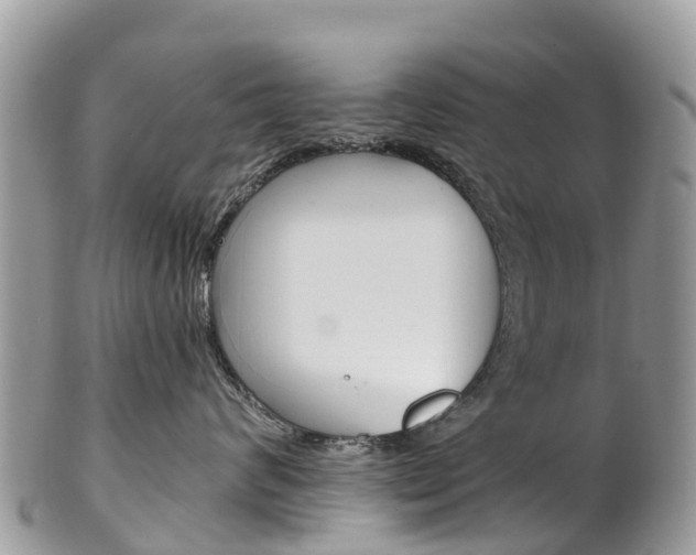 X0000102790624200808180955