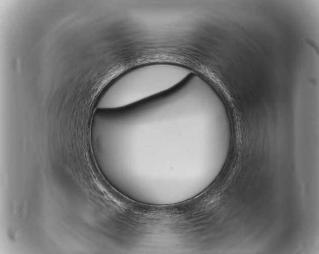 X0000102790625200808180954
