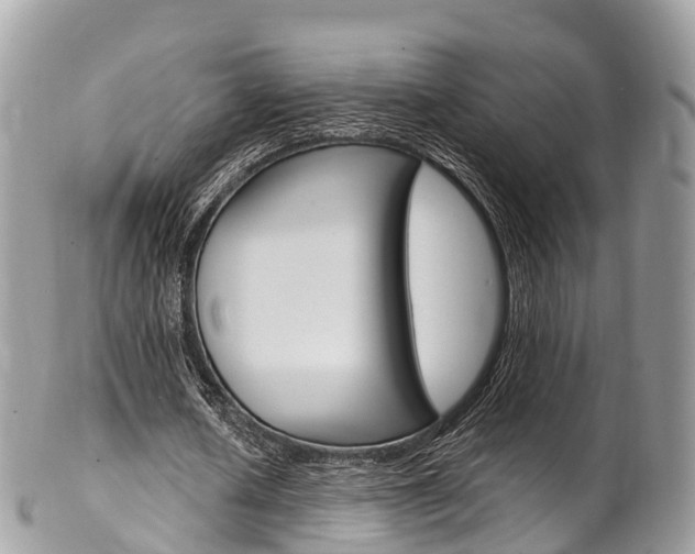 X0000102790626200808180954