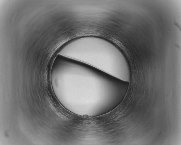 X0000102790627200808180954
