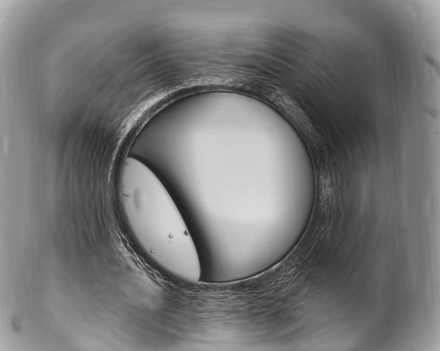 X0000102790628200808180954