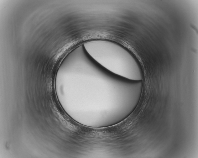 X0000102790629200808180954
