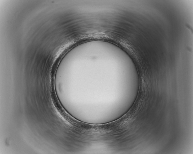 X0000102790630200808180954
