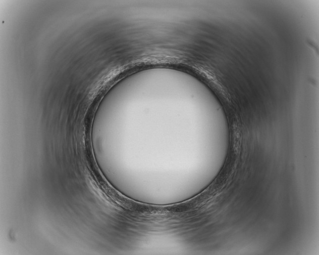 X0000102790631200808180954