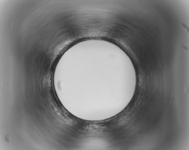 X0000102790632200808180954