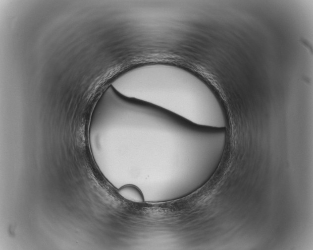 X0000102790633200808180954