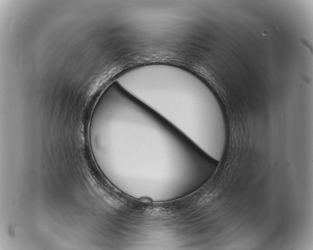 X0000102790634200808180954