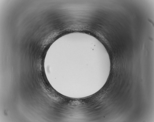 X0000102790635200808180954