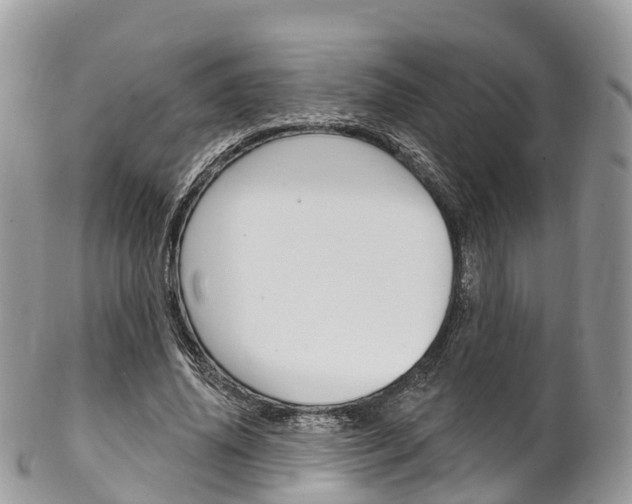 X0000102790636200808180954