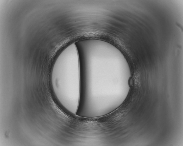 X0000102790637200808180954