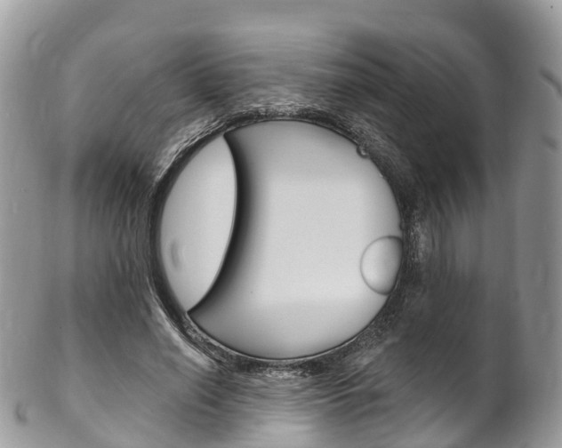 X0000102790638200808180954