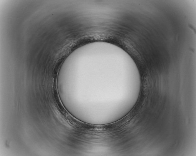 X0000102790639200808180954