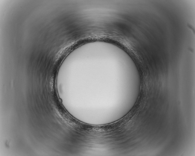 X0000102790640200808180954