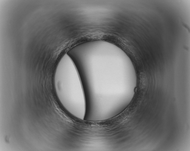 X0000102790641200808180954