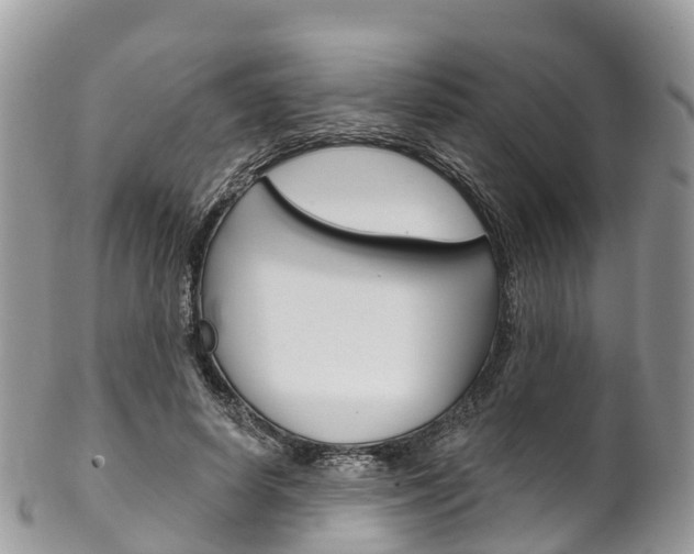 X0000102790642200808180954
