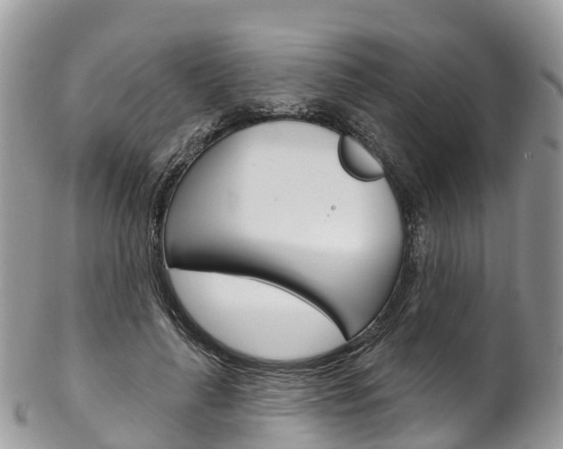 X0000102790643200808180954