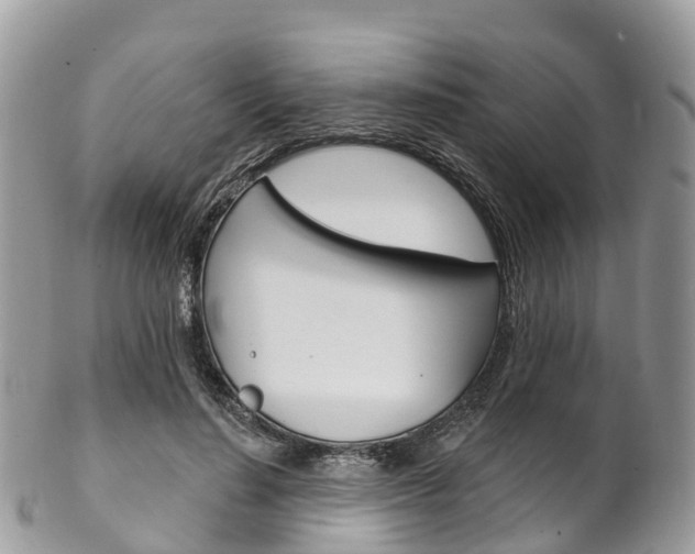 X0000102790644200808180954