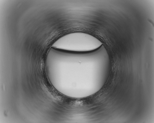 X0000102790647200808180954