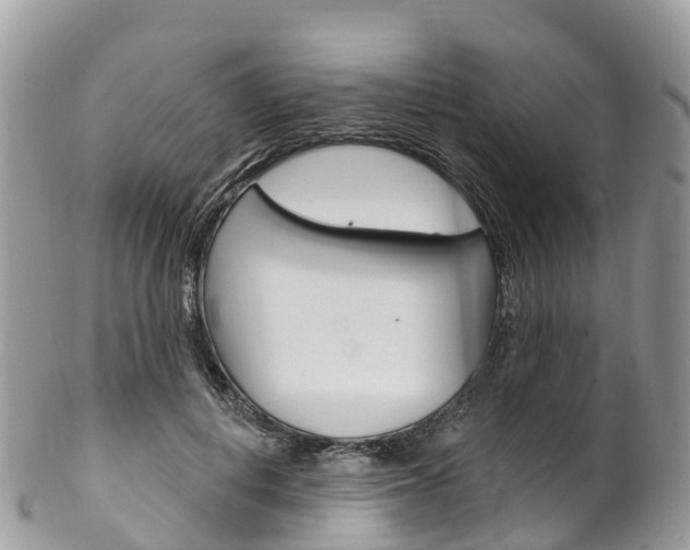 X0000102790648200808180954