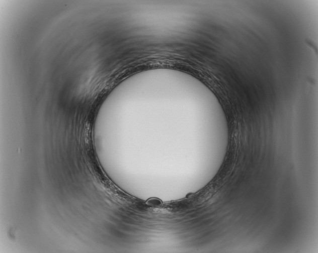 X0000102790649200808180954
