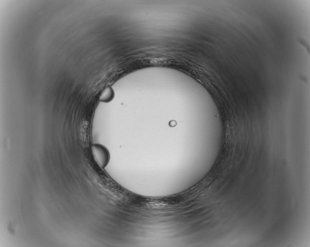X0000102790650200808180954