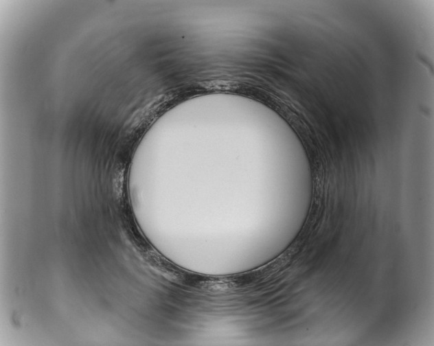 X0000102790652200808180955