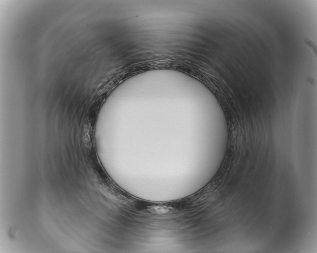 X0000102790654200808180955
