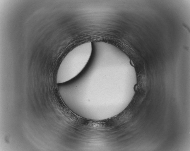 X0000102790655200808180955