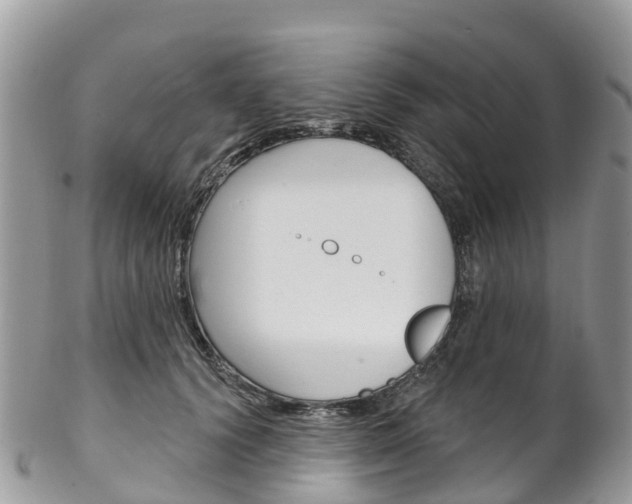 X0000102790656200808180955