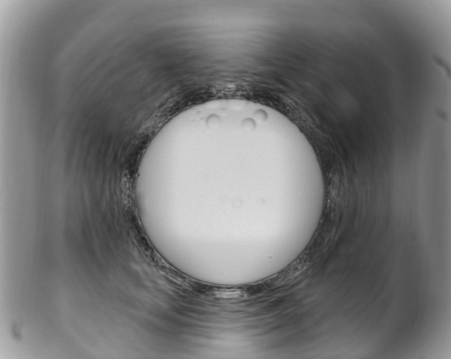 X0000102790659200808180955